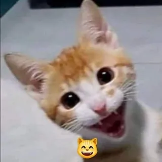 J H.