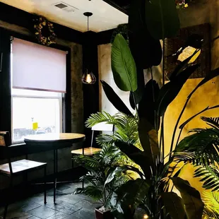 interior, ramen and noodles