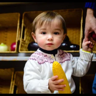 Grocery shopping with Dad