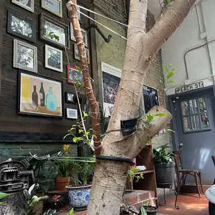 Lucky Tree in Bea Atrium!