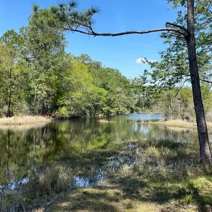 Park Lake