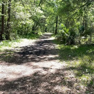 Park Walking Trail