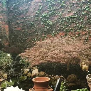 ribs, outside