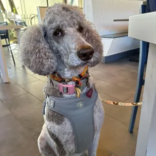 Lunching at the diner!