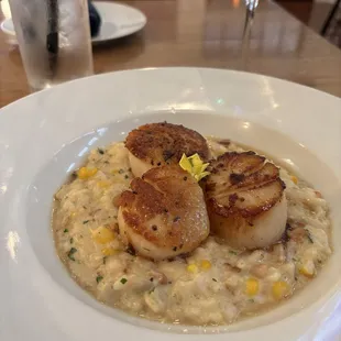 Scallops