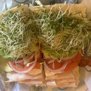 Surfin' Bird + sprouts