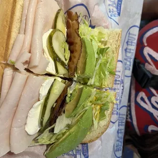 Surfin bird, regular size