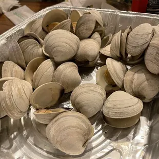 Middleneck clams