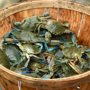  basket of blue crabs