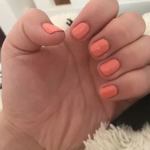 Manicure, without gel. Still excellent!