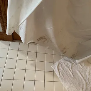 Shower curtain in Master bathroom