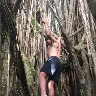 some mindful adventures on our waterfall mindful hike
