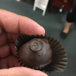 Chocolate covered grape