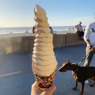 GIANT Vanilla/Chocolate Swirl in Sprinkles-Dipped Waffle Cone ($8.50)