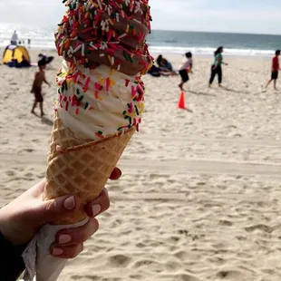 Chocolate and vanilla soft serve with rainbow sprinkles.