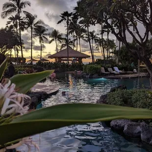 Small bar hut between pool and the beach lagoon.