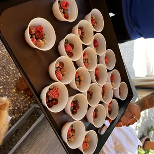 Frozen fruit passed out throughout the stay