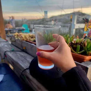 Cider that tasted like wine! Grape cider