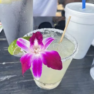 &quot;Rox Margarita&quot;