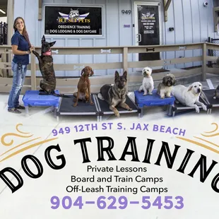 Best dog training in jax beach!