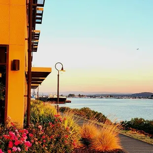 East side view from outside dining area