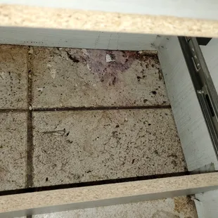 Moldy leak under bathroom sink