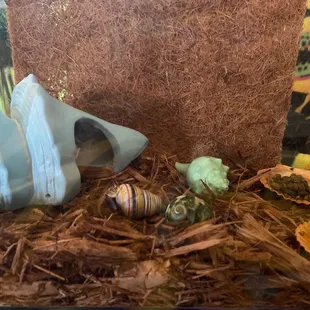 Their happy New Home.