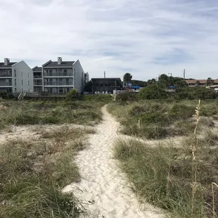 Path to the beach