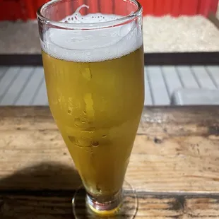 Hayabusa Lager (TikTok: @justandyvu)
