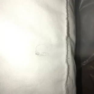 Hair all over bed and shower after being "cleaned" it was not cleaned.