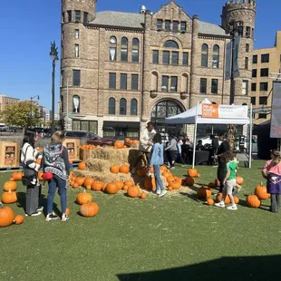 Cider in the city 2024!