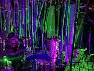 Little Miss Whiskey's Golden Dollar