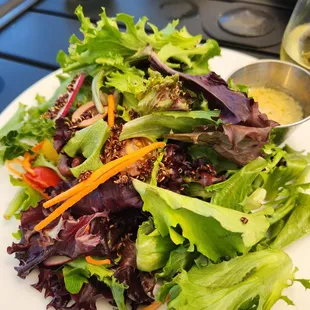 Beacon salad, lettuce, radish, heirloom tomatoes, olives, carrots, red onions, and quinoa for crunch.