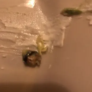 Found a pit in the guacamole
