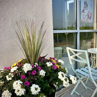 Can't help but to feel cheerful sitting outside by the planters, sipping a smoothie