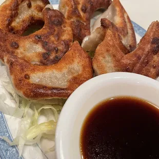 Pan fried pork dumplings