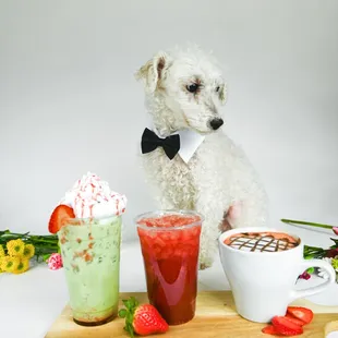 Momo with Drinks