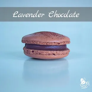 a chocolate macaron on a blue background