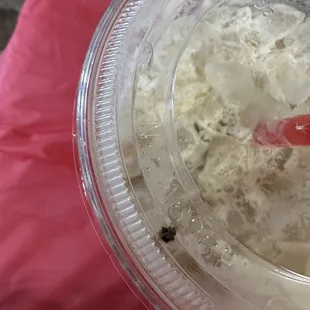 a plastic cup filled with ice cream