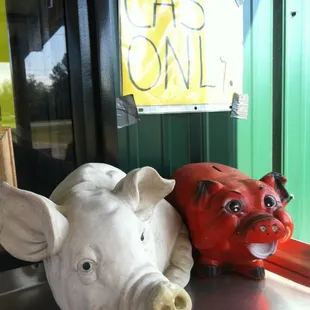 Piggies