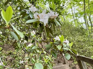 South Mountains State Park