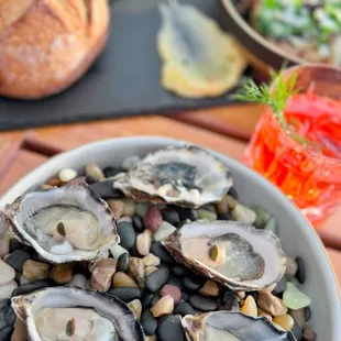Oysters and bread