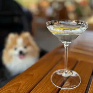 Barhill Honey Vodka, shaken w/ lemon twist ($20 + $5 up charge)