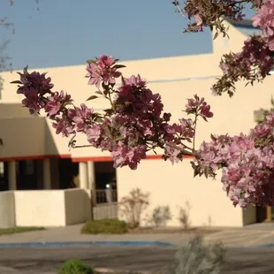 Bear Canyon Senior Center