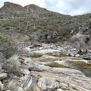 Water Crossing on Seven Falls Trail