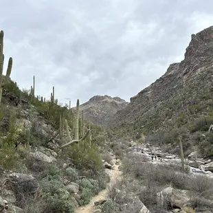 Seven Falls Trailhead in Bear Canyon