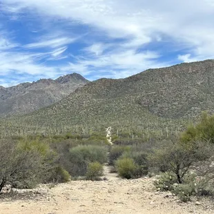 Path to Bear Canyon Trailhead from parking lot
