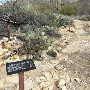 Start of Seven Falls Trailhead from Bear Canyon Trail