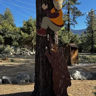 Bear attack
