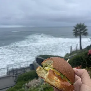 Ham and Egg Sandwich